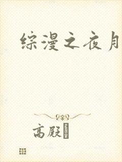 综漫之夜月