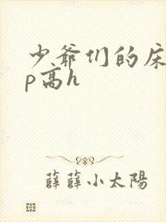 少爷们的床奴np高h