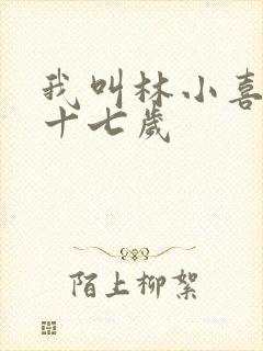 我叫林小喜今年十七岁