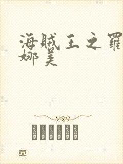 海贼王之罗宾h娜美