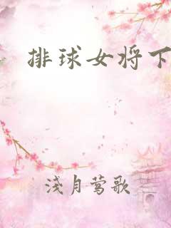 排球女将下载