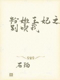 粉嫩王妃之殿下别吃我