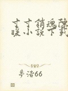 寸寸销魂陈聪王暖小说下载