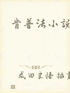 肯普法小说下载