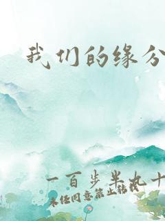 我们的缘分小说