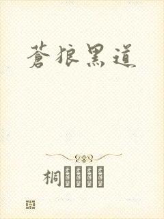 苍狼黑道