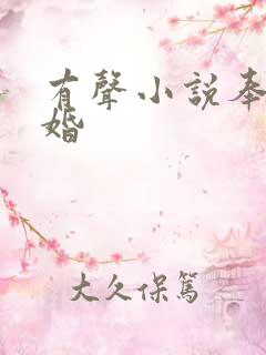 有声小说奉子成婚