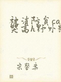 被消防员cao哭高h野外糙汉h