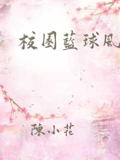 校园蓝球风云