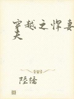 穿越之悍妻共三夫