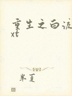 重生之白流苏txt