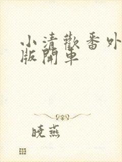 小清欢番外完整版开车