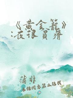 《黄金笼》作者:夜很贫瘠
