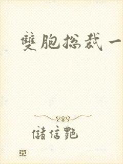 双胞总裁一个妻