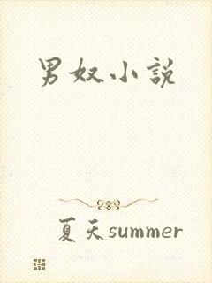 男奴小说