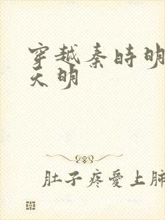 穿越秦时明月之天明