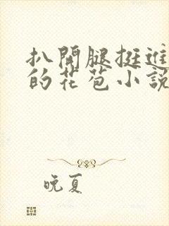 扒开腿挺进湿润的花苞小说