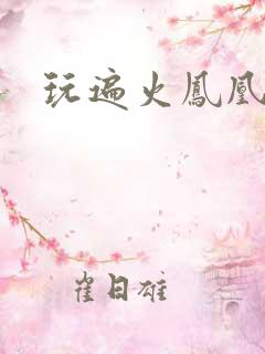 玩遍火凤凰队员