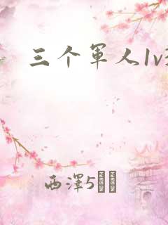 三个军人1v3