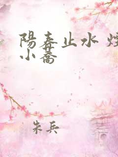 阳春止水 烟树小荞