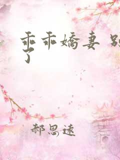 乖乖娇妻 别闹了