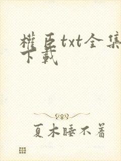 权臣txt全集下载