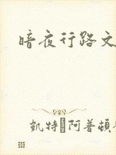 暗夜行路文集