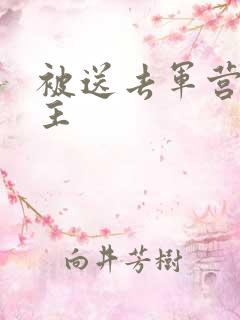 被送去军营的公主