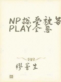 NP总受被各种PLAY全息