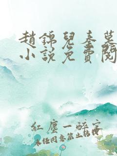 赵锦儿秦慕修的小说免费阅读全文