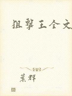 狙击王全文阅读