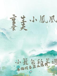 重生小凤凰的童养夫