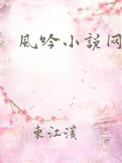 风吟小说网
