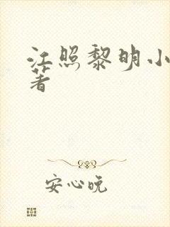 江照黎明小说原著