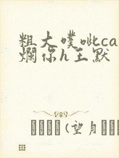 粗大噗呲cao烂你h王默
