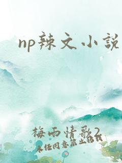 np辣文小说