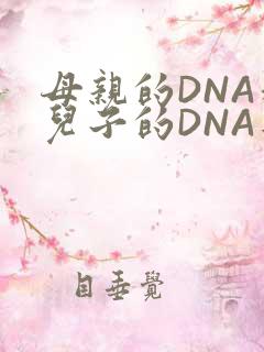 母亲的DNA和儿子的DNA是一样的吗