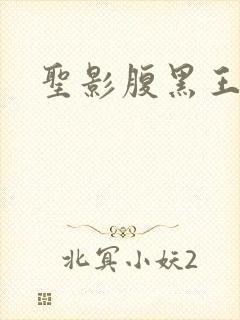 圣影腹黑王子帮