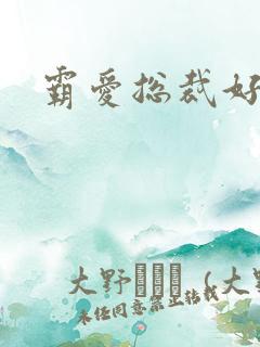 霸爱总裁好生猛