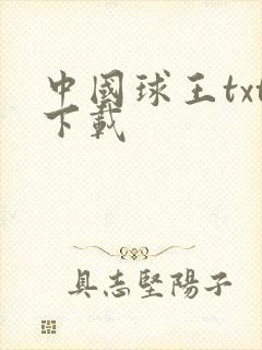 中国球王txt下载