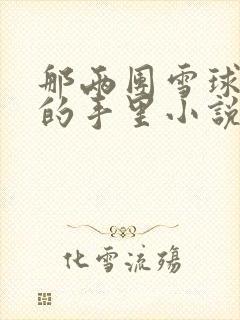 那两团雪球在他的手里小说