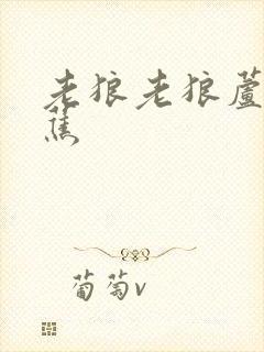 老狼老狼芦苇芭蕉