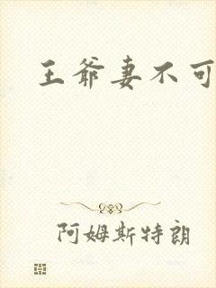 王爷妻不可欺