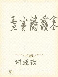 王小波黄金时代免费阅读全文