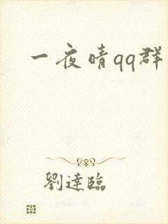 一夜晴qq群