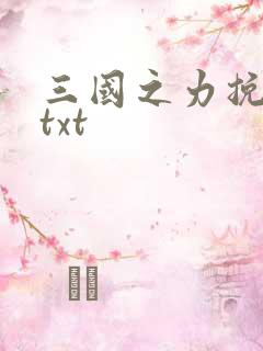 三国之力挽狂澜txt