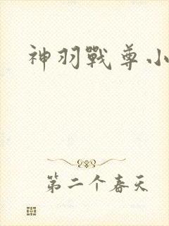 神羽战尊小说