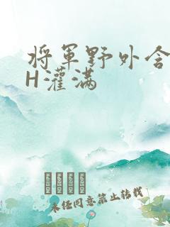 将军野外含公主H灌满