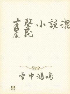 有声小说混世小农民