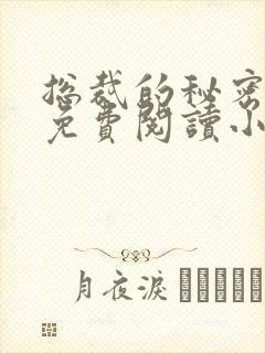 总裁的秘密情人免费阅读小说